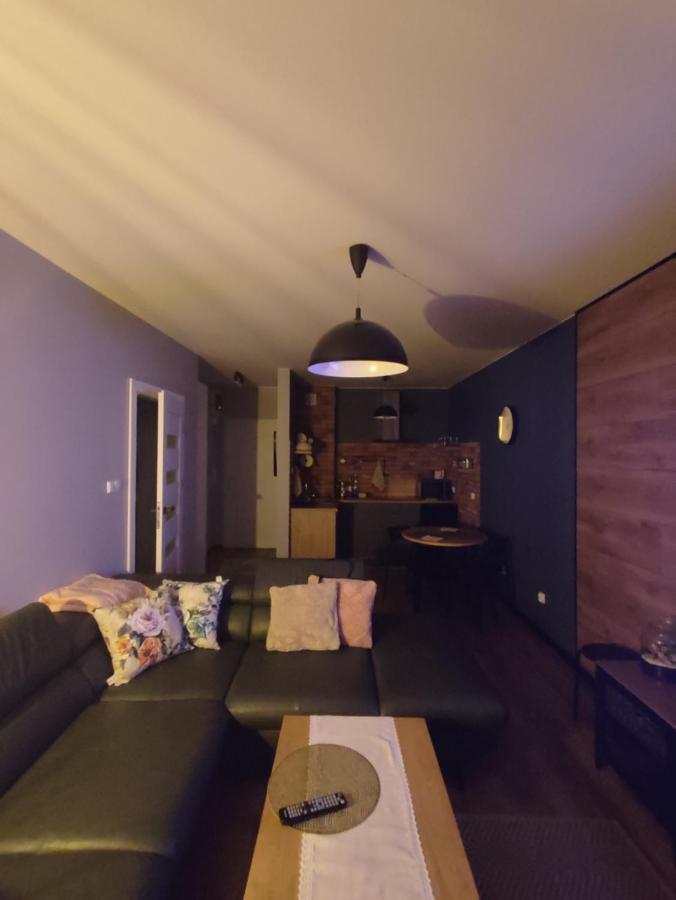 Lux Apartament Odkryj - Bieszczady ウストシキ・ドルネ エクステリア 写真