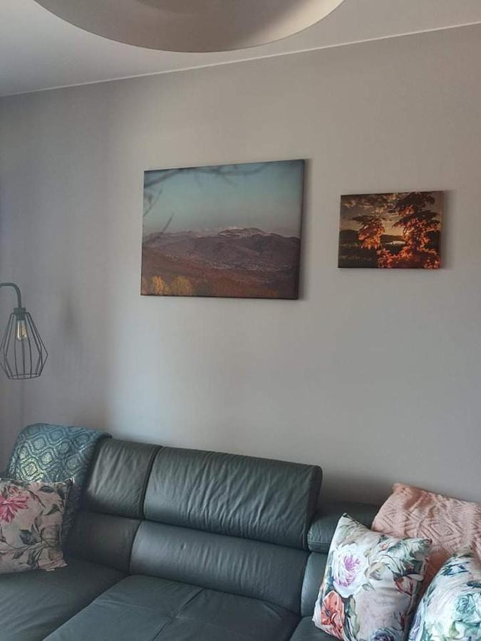 Lux Apartament Odkryj - Bieszczady ウストシキ・ドルネ エクステリア 写真